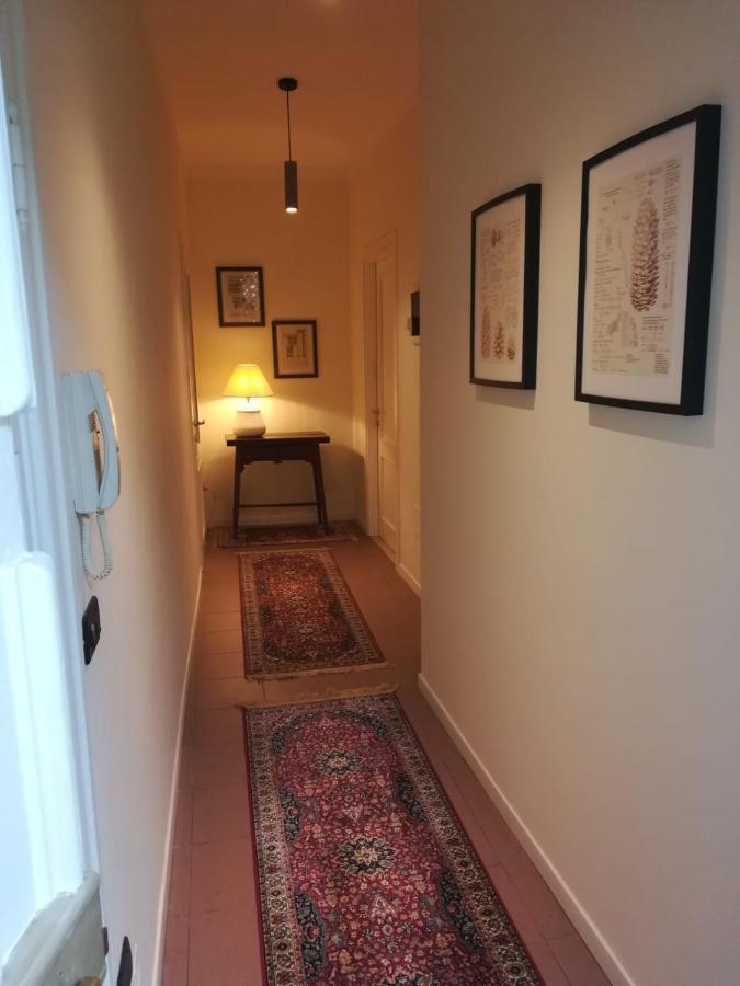 Apartment Ca Medici Venice
